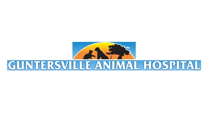 Guntersville Animal Hospital